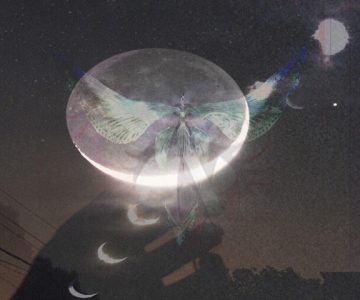 Death.wav – “Under The Pale Moonlight Butterfly” & “Infomacy”